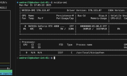 Featured image of post NVIDIA GPU access inside a Proxmox LXC